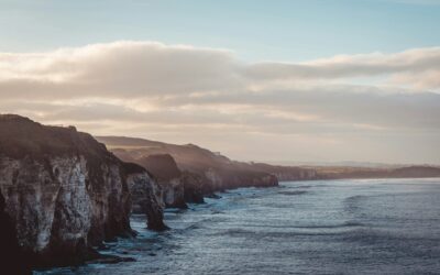 CBT – What is it really? 